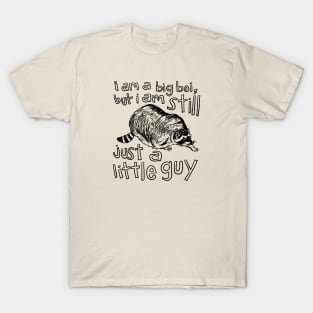 Big Boy Little Guy T-Shirt